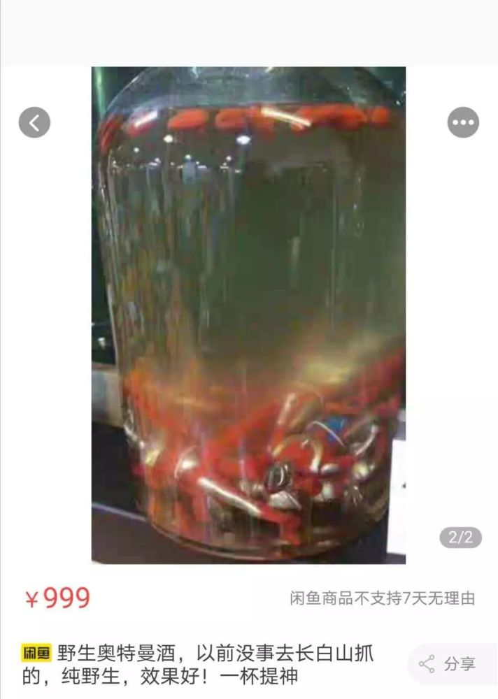 已剥皮晒干, 可泡酒做衣服…… 好奇奥特曼皮怎么泡酒吗?