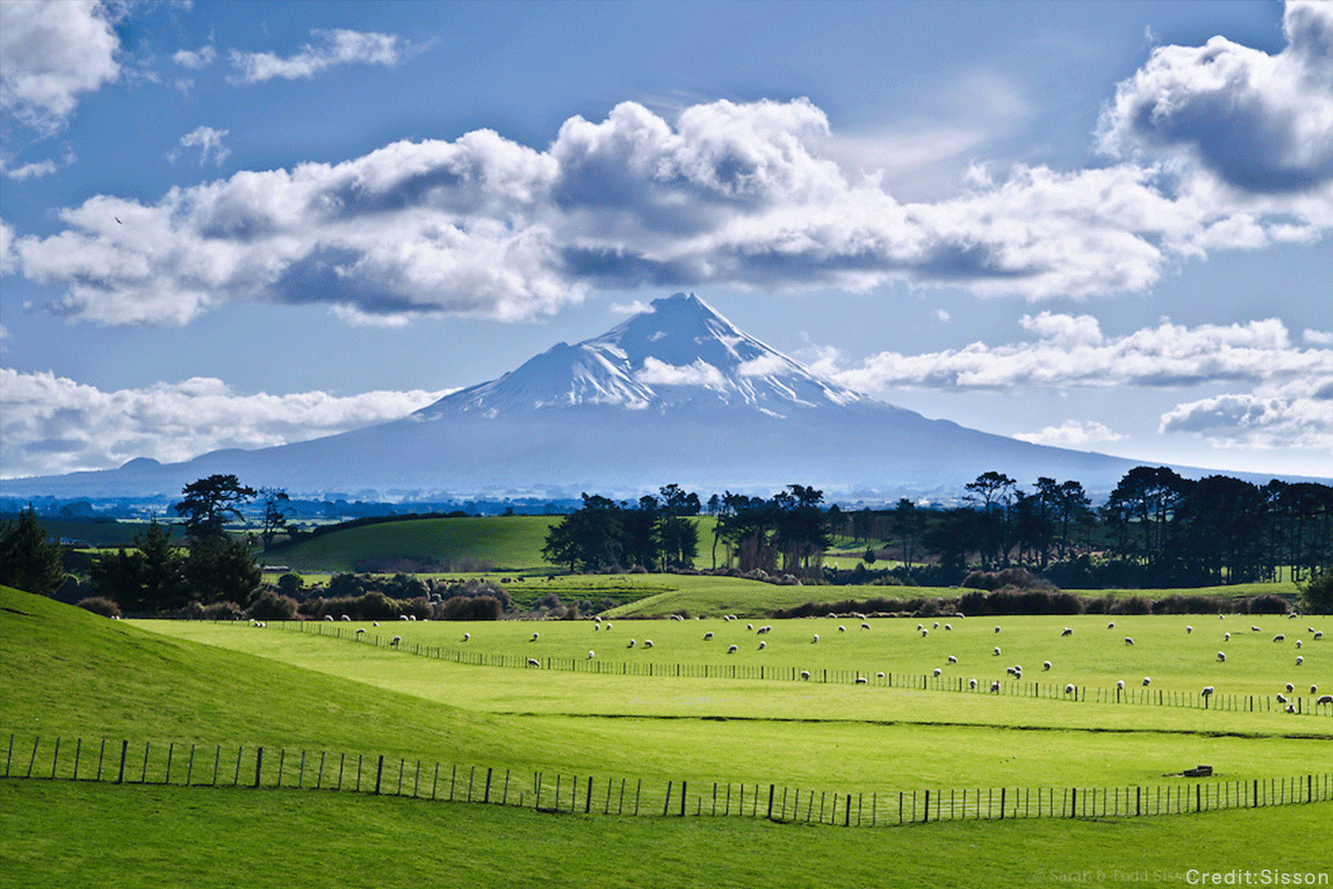 日本的富士山居然是租来的!