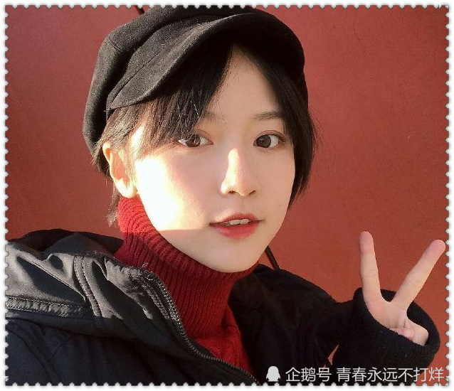 诸葛大力,演员,成果,颜值