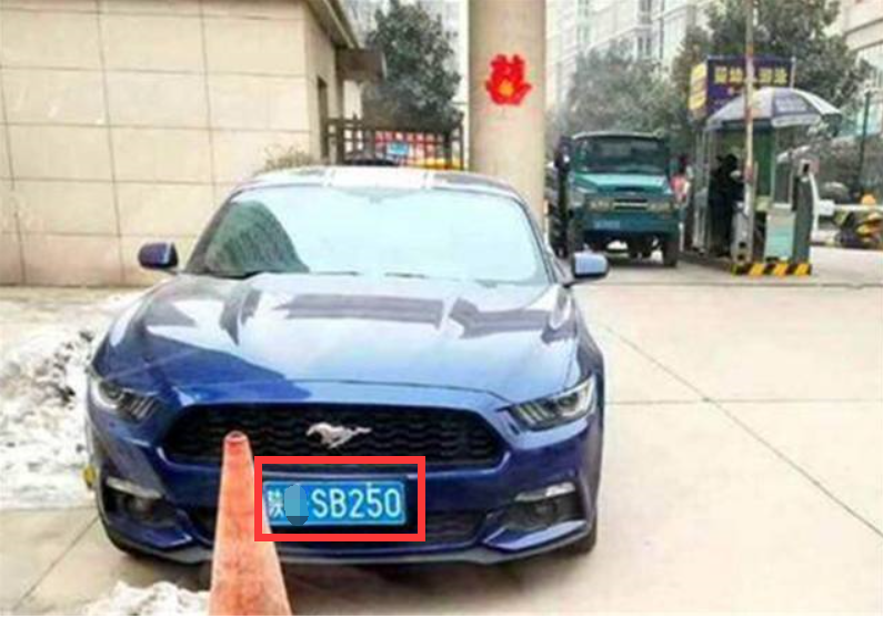 小伙花40万买福特野马,车牌成最大亮点,网友:比连号还