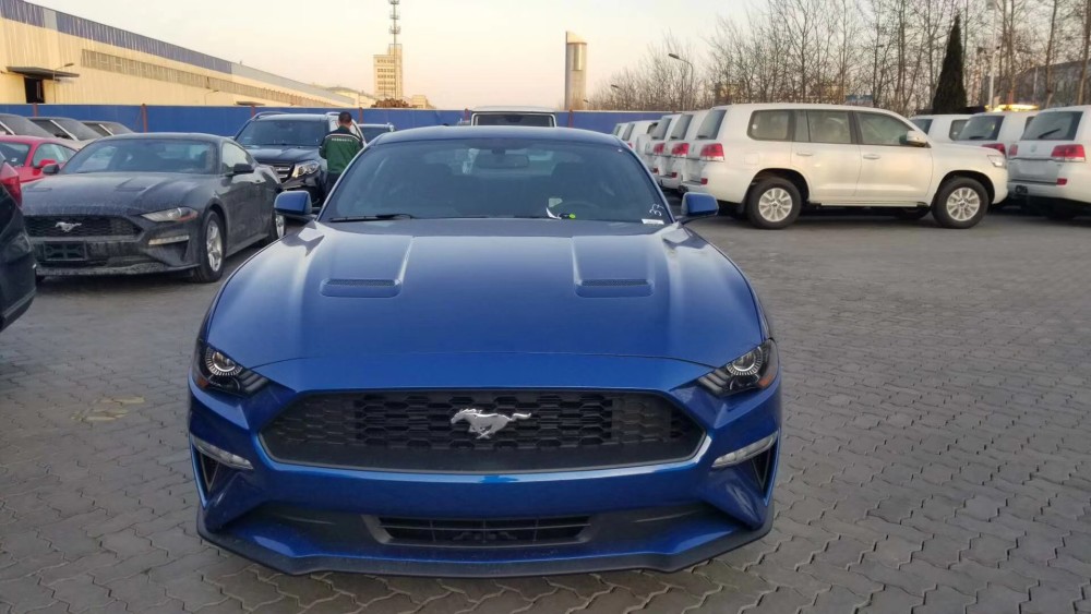 小伙花40万买福特野马,车牌成最大亮点,网友:比连号还