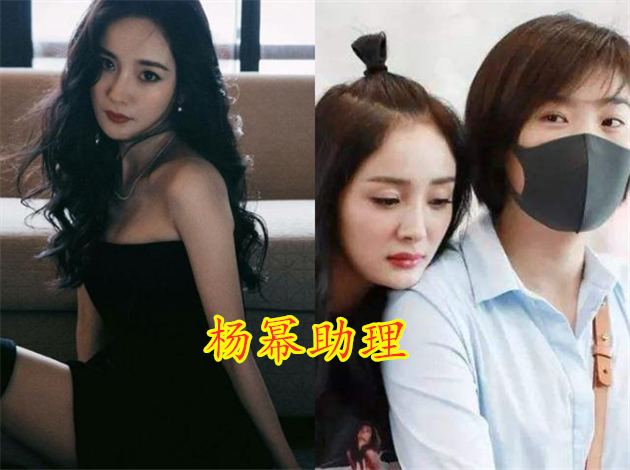 助理,任嘉伦,肖战,杨幂,撒狗粮