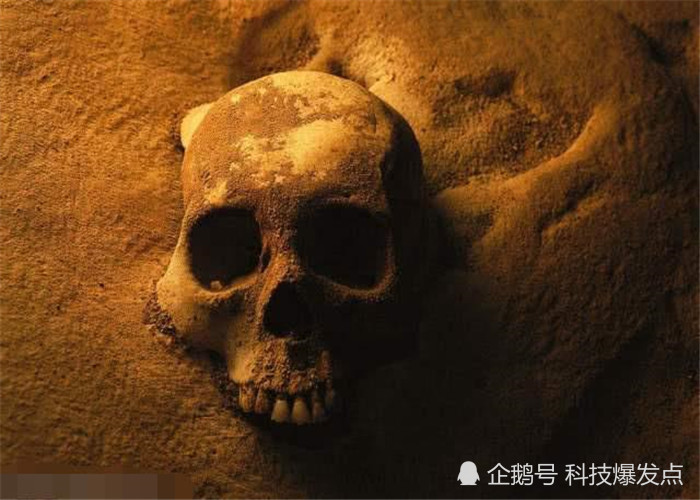 远古病毒破土而出,或是尼安德特人灭绝的原因,为人类敲响警钟!