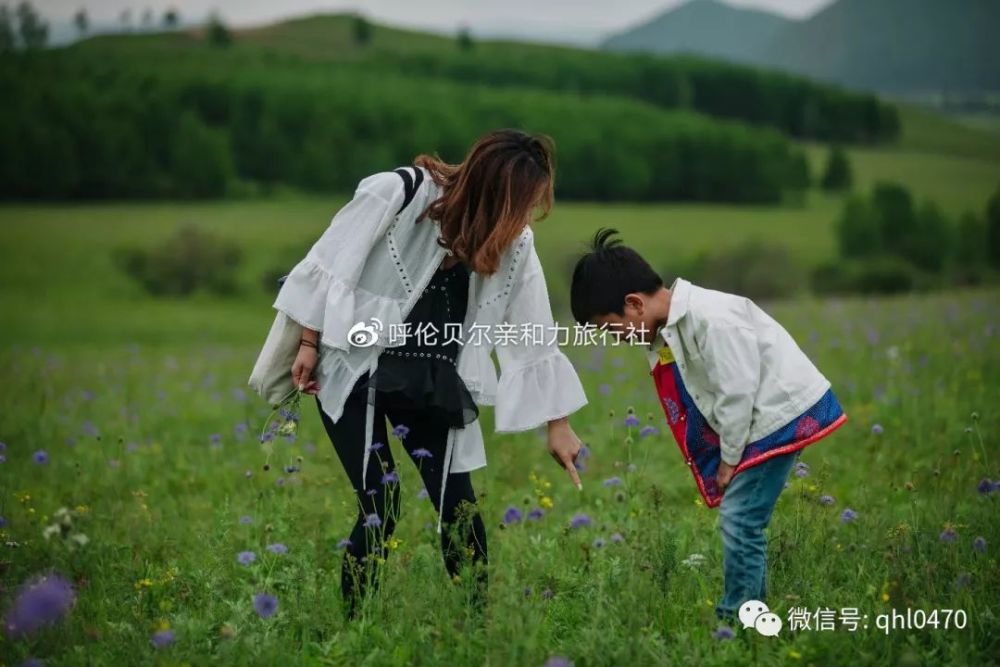 2019年呼伦贝尔旅拍作品展示,带你走进相机里的呼伦贝尔大草原