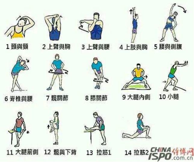 中小学篇● 运动目的:健身运动前要充分做好准备活动,使体温升高