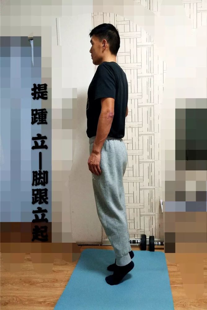 提踵立
