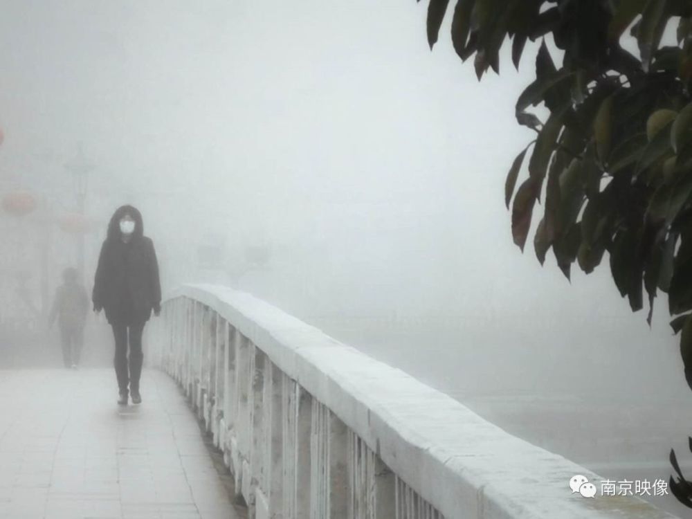 无尽的车流 如今,大雾弥漫 我再也看不到一人 不,准确来说 雨露岚雾中