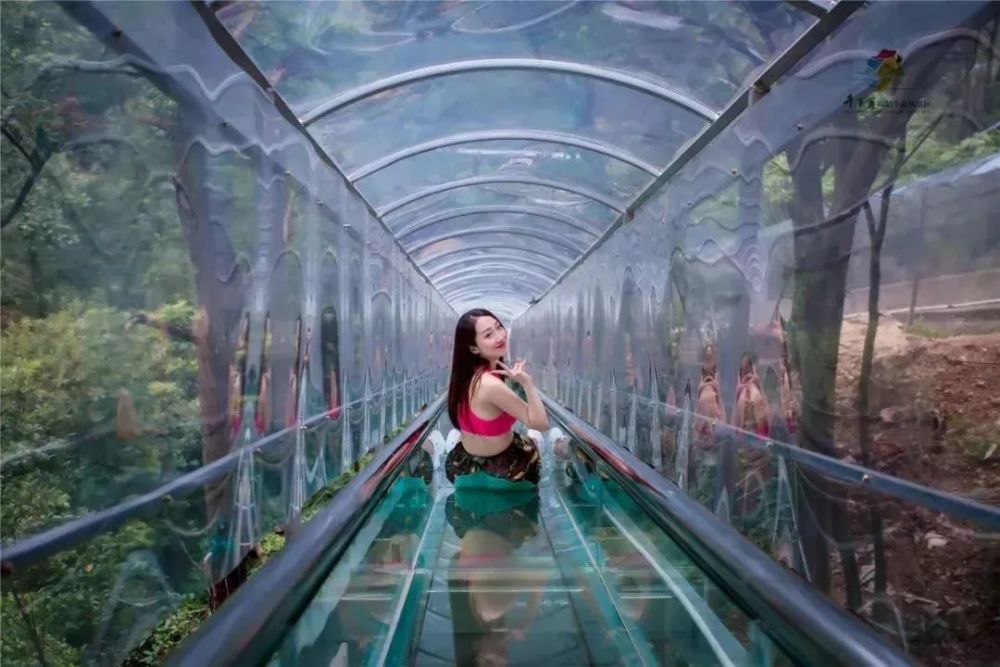 女生走透明玻璃桥,会被偷窥吗?网友:你站桥下看看就知道了