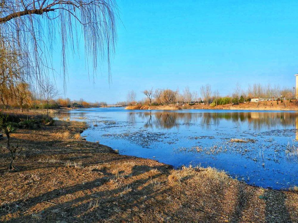 由于齐桓公的堰浯入荆水利工程的影响,下游浯河在安丘市景芝镇西古河