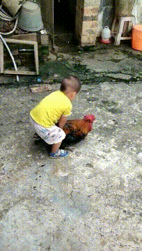 搞笑gif,内涵段子