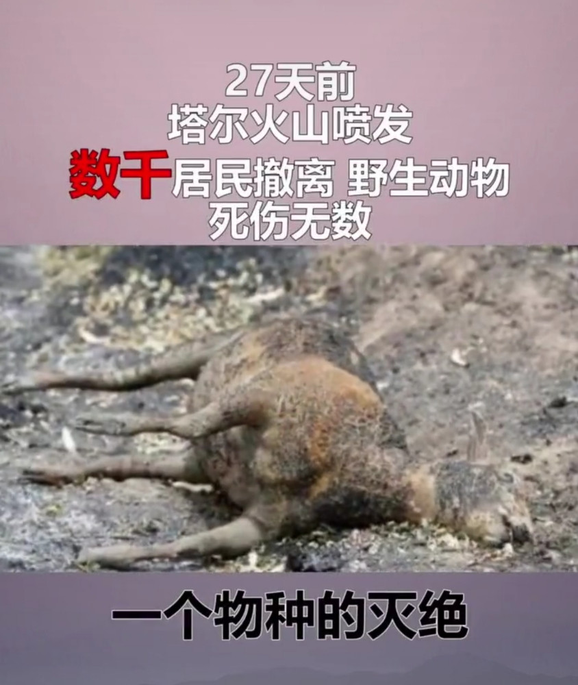 地球不需要拯救,需要被拯救的是人类自己,请善待"自己