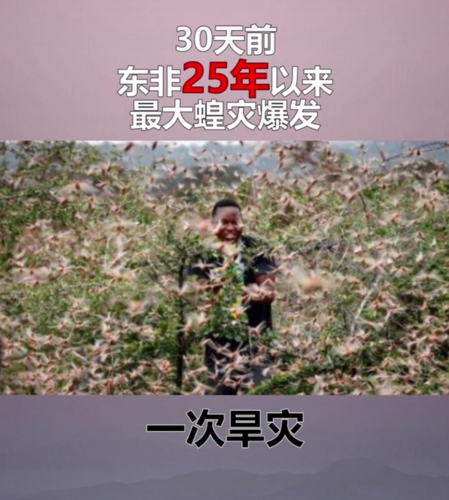 地球不需要拯救,需要被拯救的是人类自己,请善待"自己