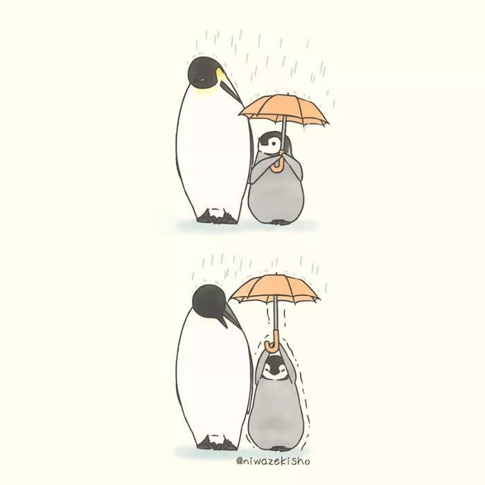 小企鹅的艰难日常:对不起,也太好笑了吧!