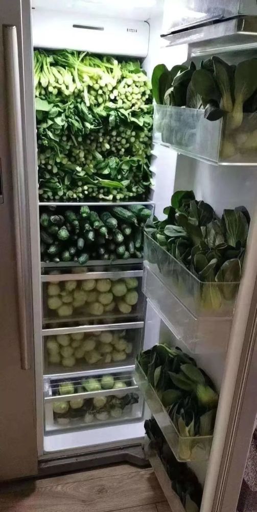 家里从单门冰箱换成双门冰箱后 买再多食材都塞不满了 各种蔬菜水果