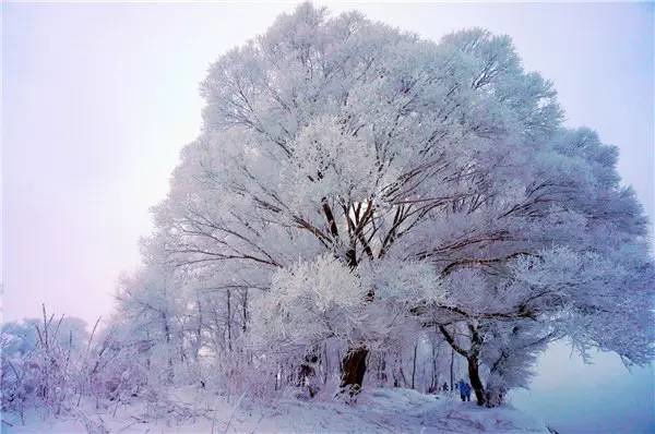 四个必须要去的国内雪景旅游区