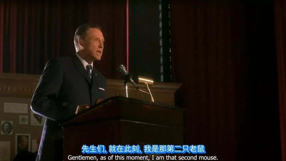 《猫鼠游戏》不止有青少年犯罪,这些隐喻更值得深挖