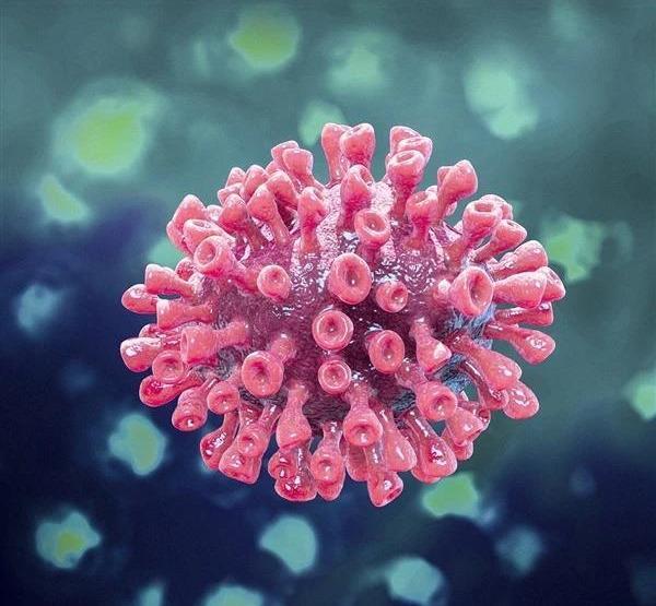 这才是新冠病毒真正的样子,美国科学家给它拍了彩照,还造了模型