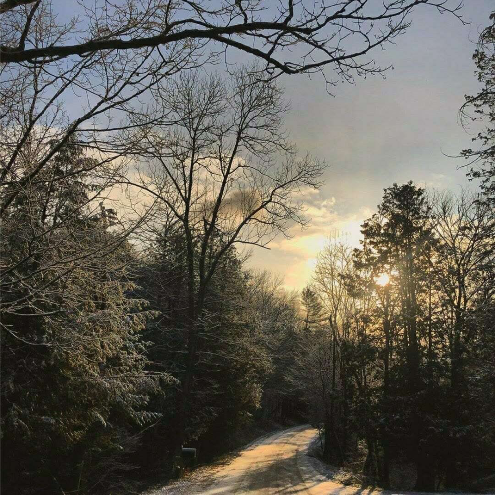 背景图:一个人走在安安静静的小路上,享受夕阳的暖光照耀!