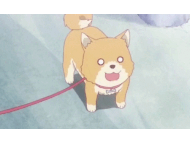 以爱为枪,击中哥哥的心脏