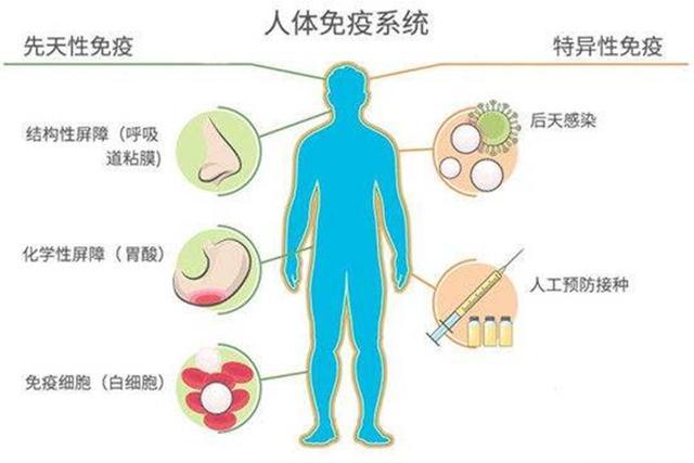 特殊时期,如何提高免疫力?史上最全经验分享,4个方法轻松搞定