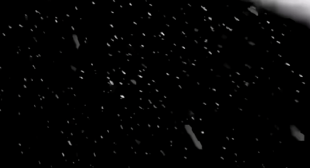 2020嘉定第一场雪!然而比雪景更美的却是