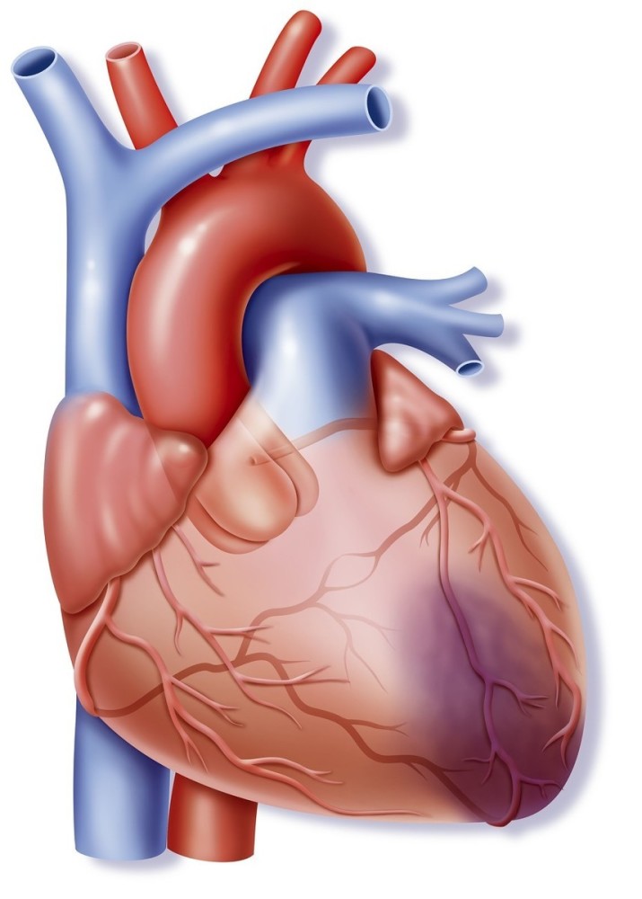 引起心前区疼痛的常见心脏疾病有哪些
