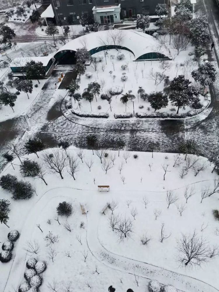 一大波雪景来袭!淄博两区县发布暴雪预警!