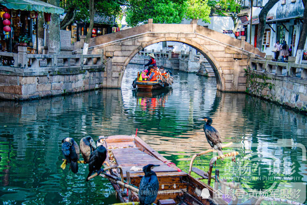 江苏苏州市同里古镇的江南美景,清幽安静的水乡美景让