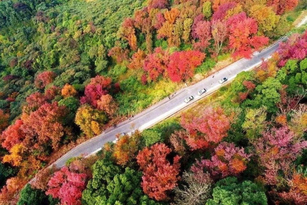 石门国家森林公园