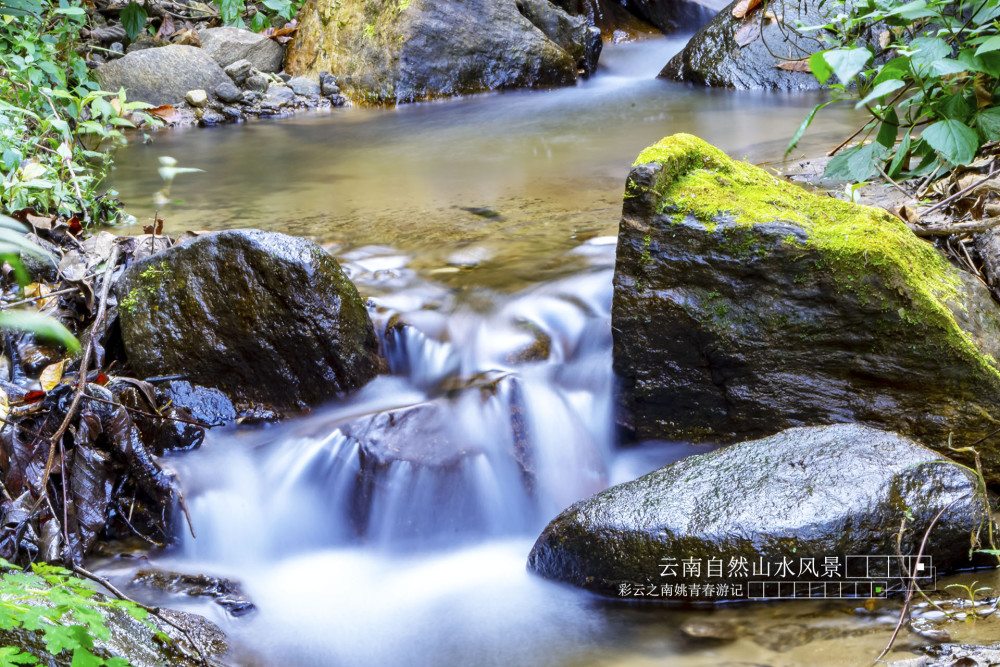 云南省临沧市凤庆县大寺乡溪边姚青春自然风光山水风景游记