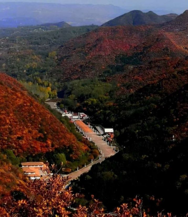 桃林沟景区(桃林鹊桥项目)(aaaa)