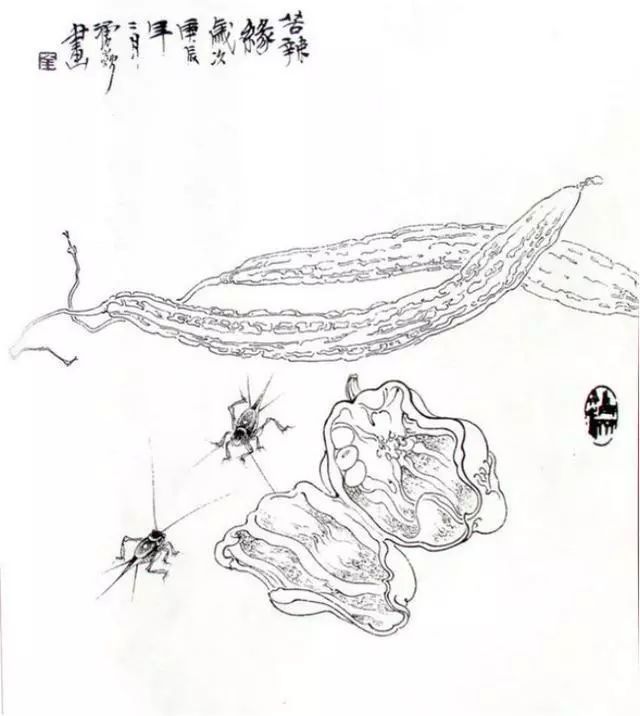 白描花鸟虫草图谱