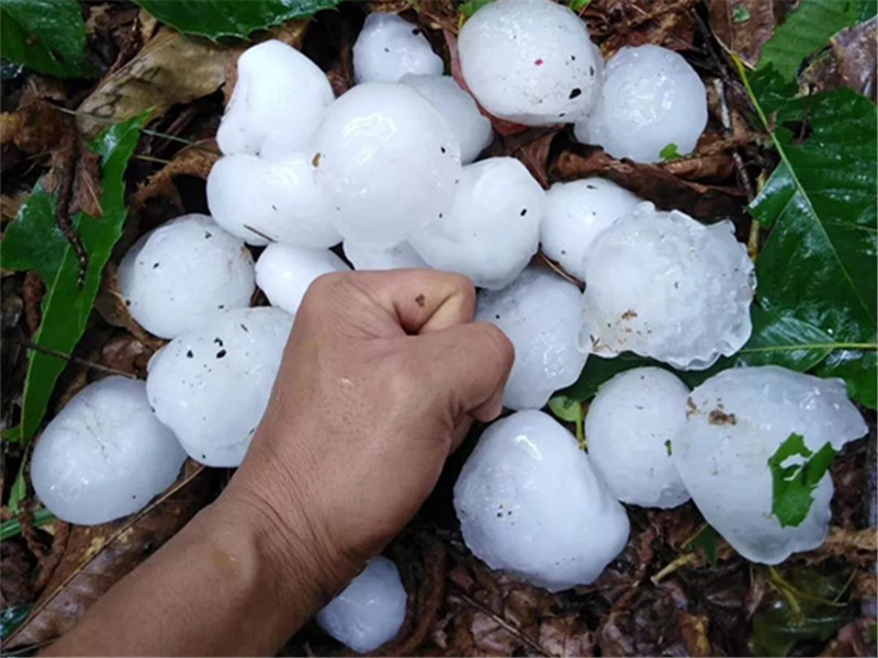 一场冰雹让数万辆车子遭殃,汽车被砸成"蜂窝",车主:保险能赔吗?