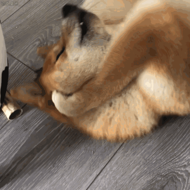 搞笑gif图片,每日笑一笑