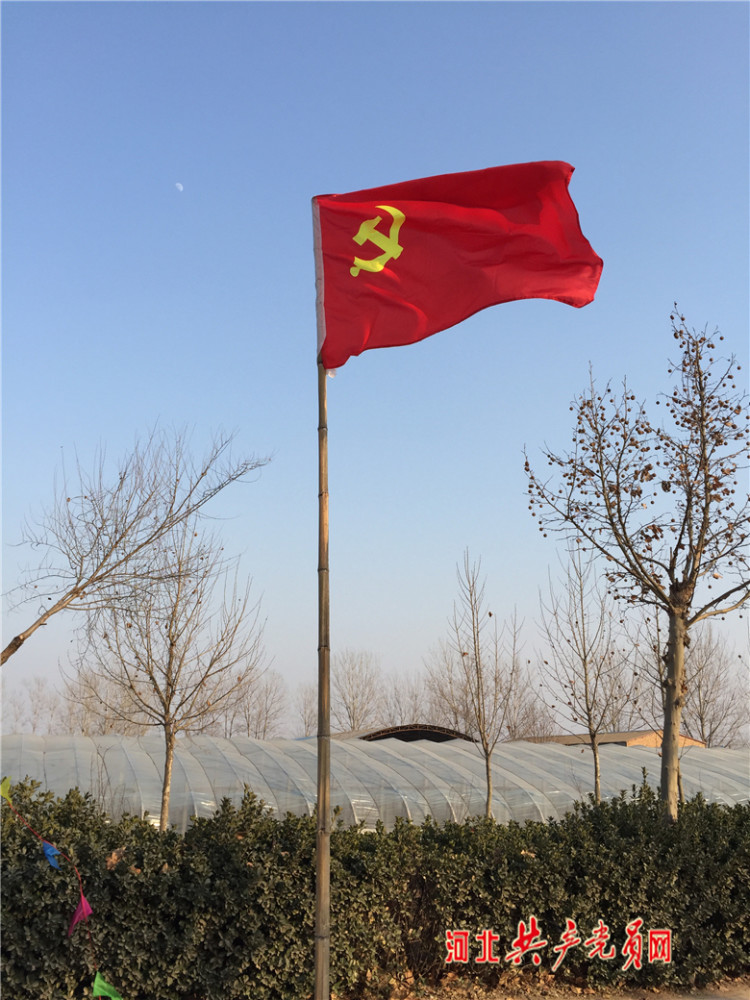 石家庄藁城:让党旗在抗"疫"阵地高高飘扬