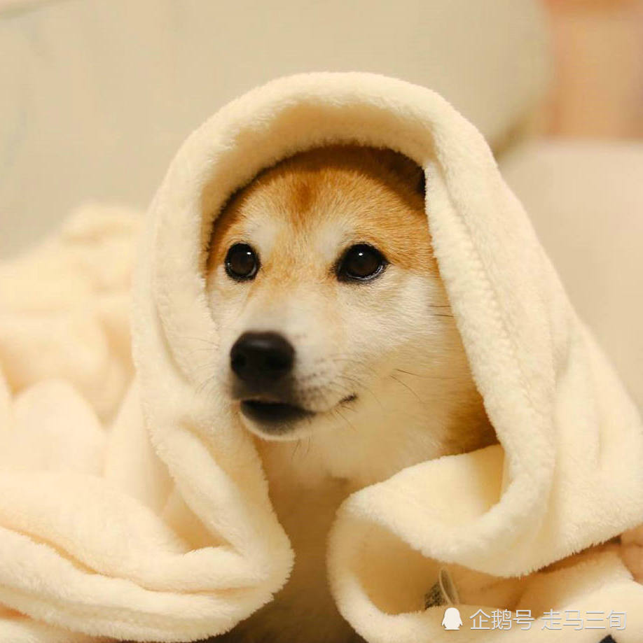 沐浴后有种出水芙蓉的快感,我有点陶醉了