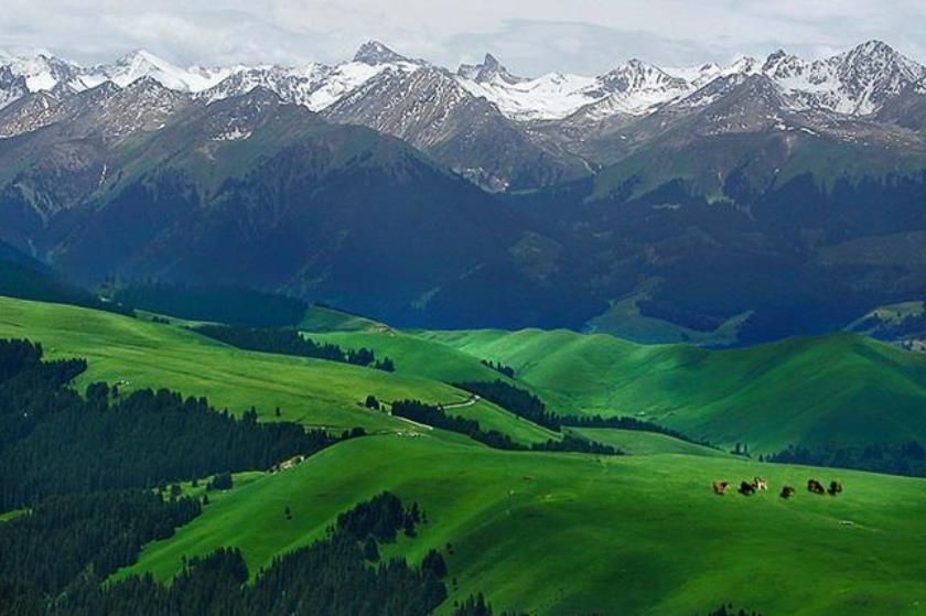 新疆第一山天山,天山天池,新疆天山风景,天山风景区,新疆旅游景点