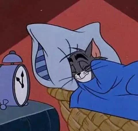猫和老鼠情头 看点快报