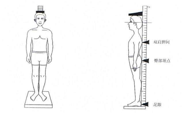 在家也能测量孩子的身高体重头围?我们教您怎么做!