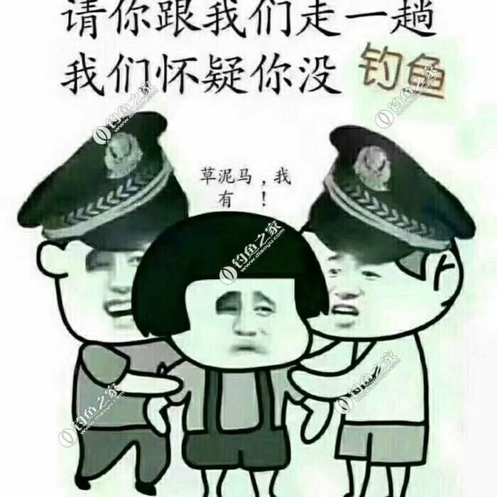 鲫鱼,鱼类,钓鱼,野钓