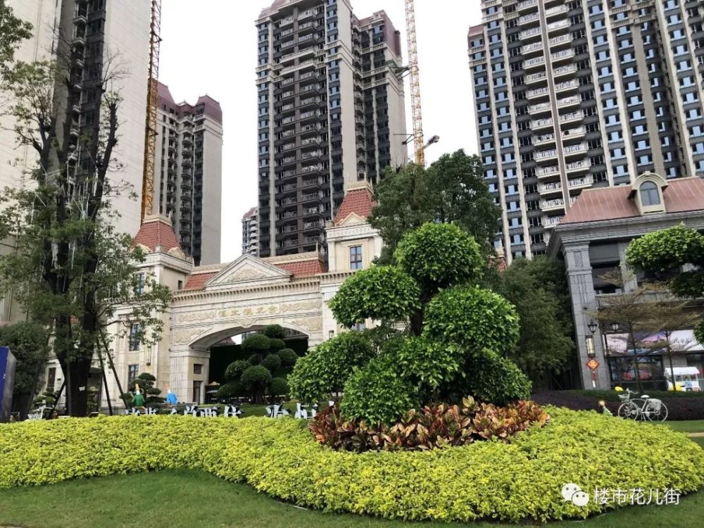 号称全线75折,南宁恒大楼盘究竟有没有?