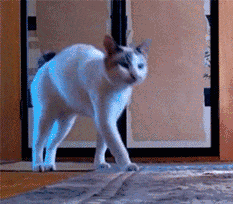 你们能不能来微博看看我 @羁绊网字够大了 正儿八经的二次元资讯 乱