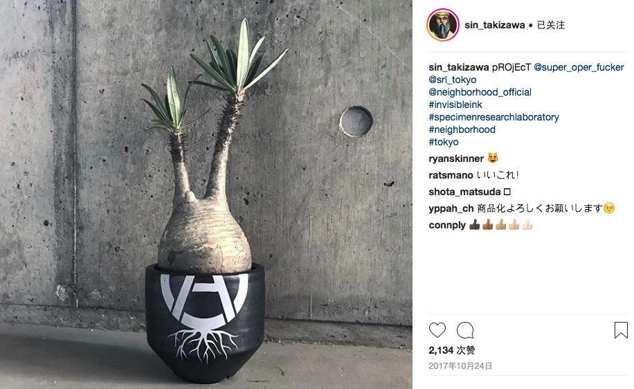 泷泽伸介与藤原浩的老大爷时光