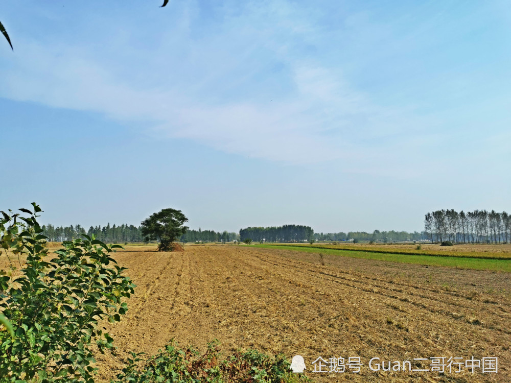 河南信阳农村,地区发展建设,旅行风景,农村风景,三农