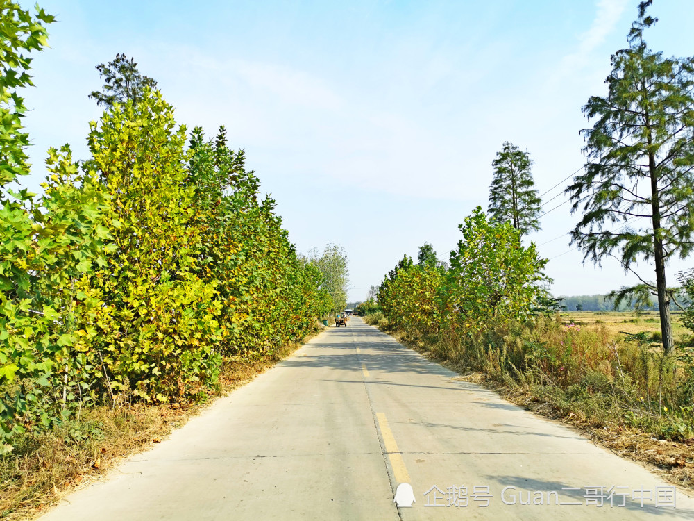 河南信阳农村,地区发展建设,旅行风景,农村风景,三农