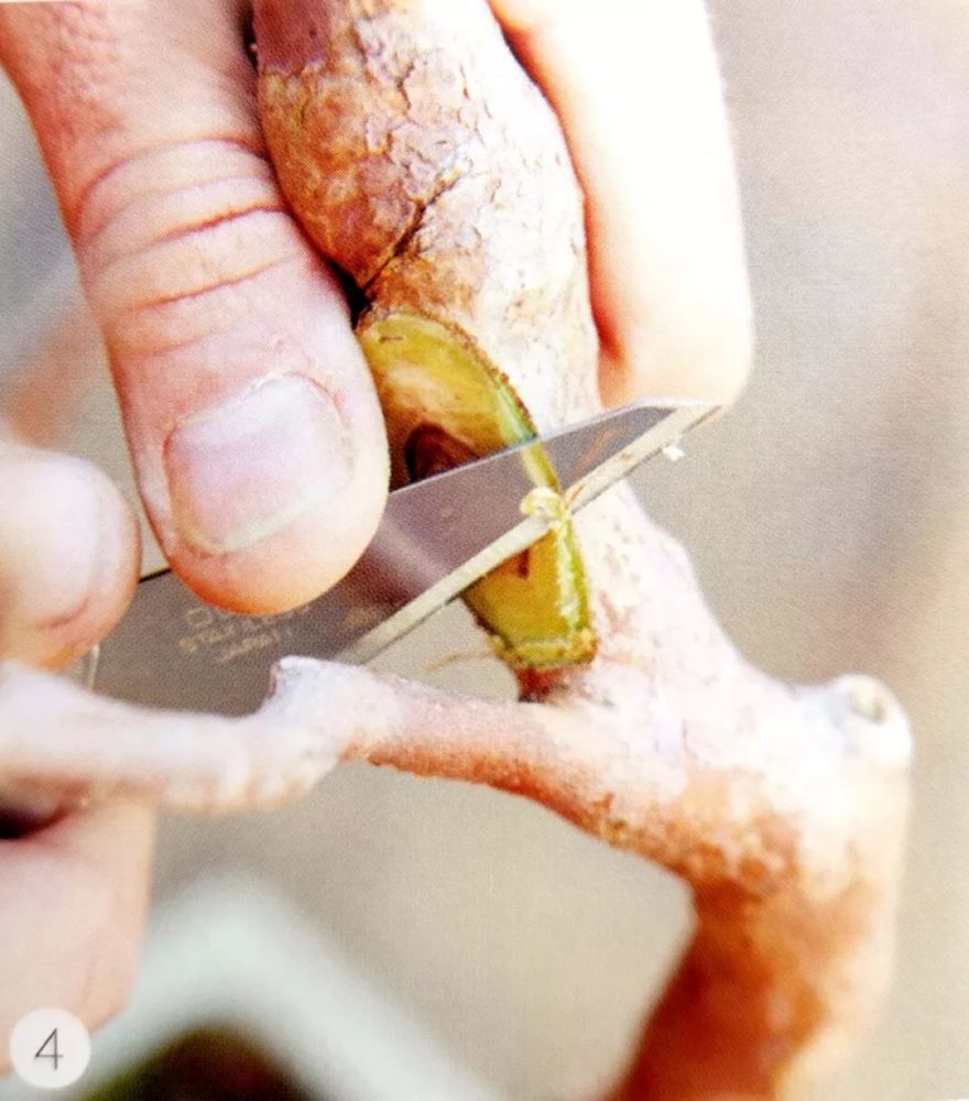 为落叶树盆景塑形,掌握3门体雕技巧,让你的盆景与众不