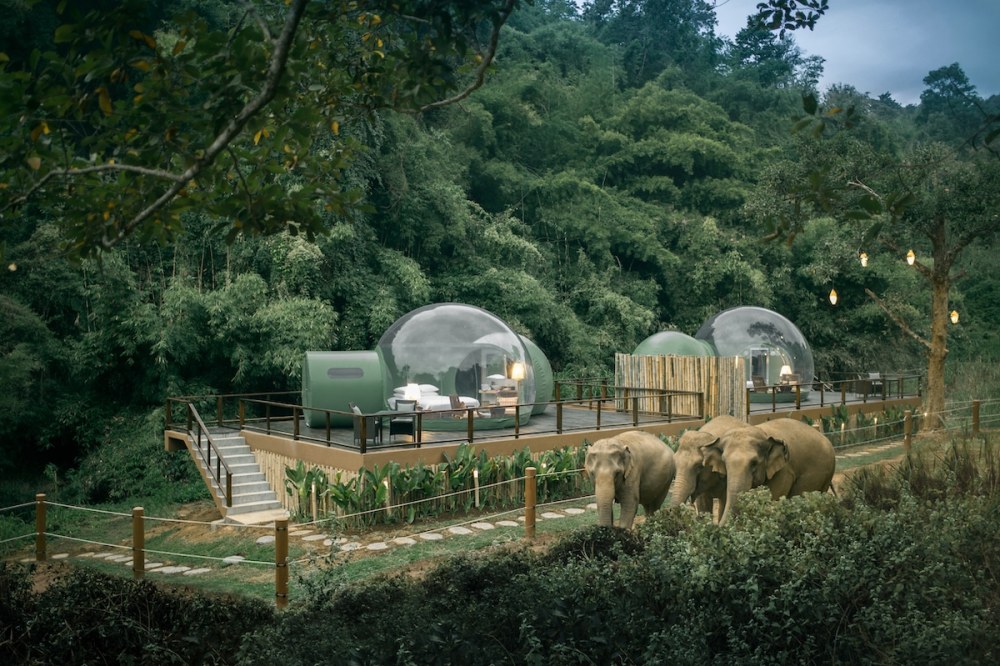 民宿设计,森林设计,大象,泰国旅游