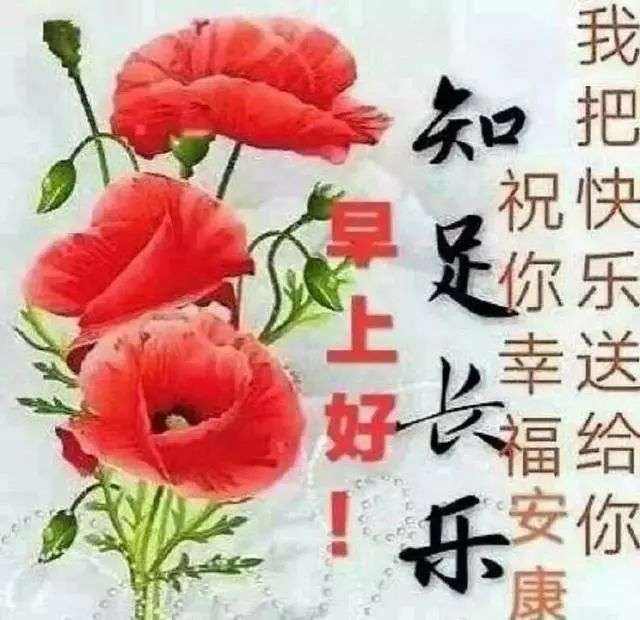 正月廿六 最新版早晨问候动态鲜花表情图片大全