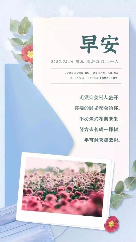 2月19日早安图片日签正能量:多花时间努力,少点功夫矫情