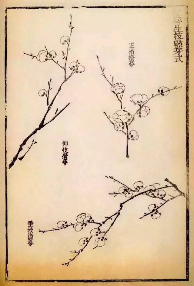 画梅干货:画梅花生枝各式